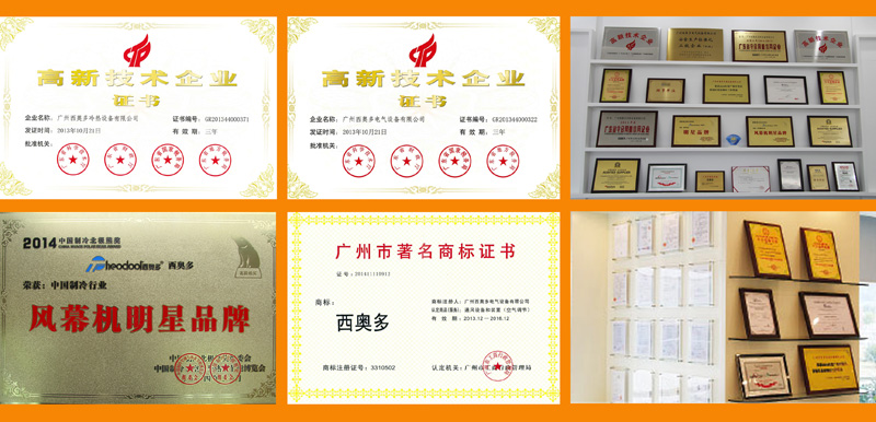 西奧多榮獲眾多榮譽(yù)獎項(xiàng)